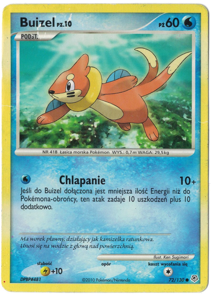 Buizel